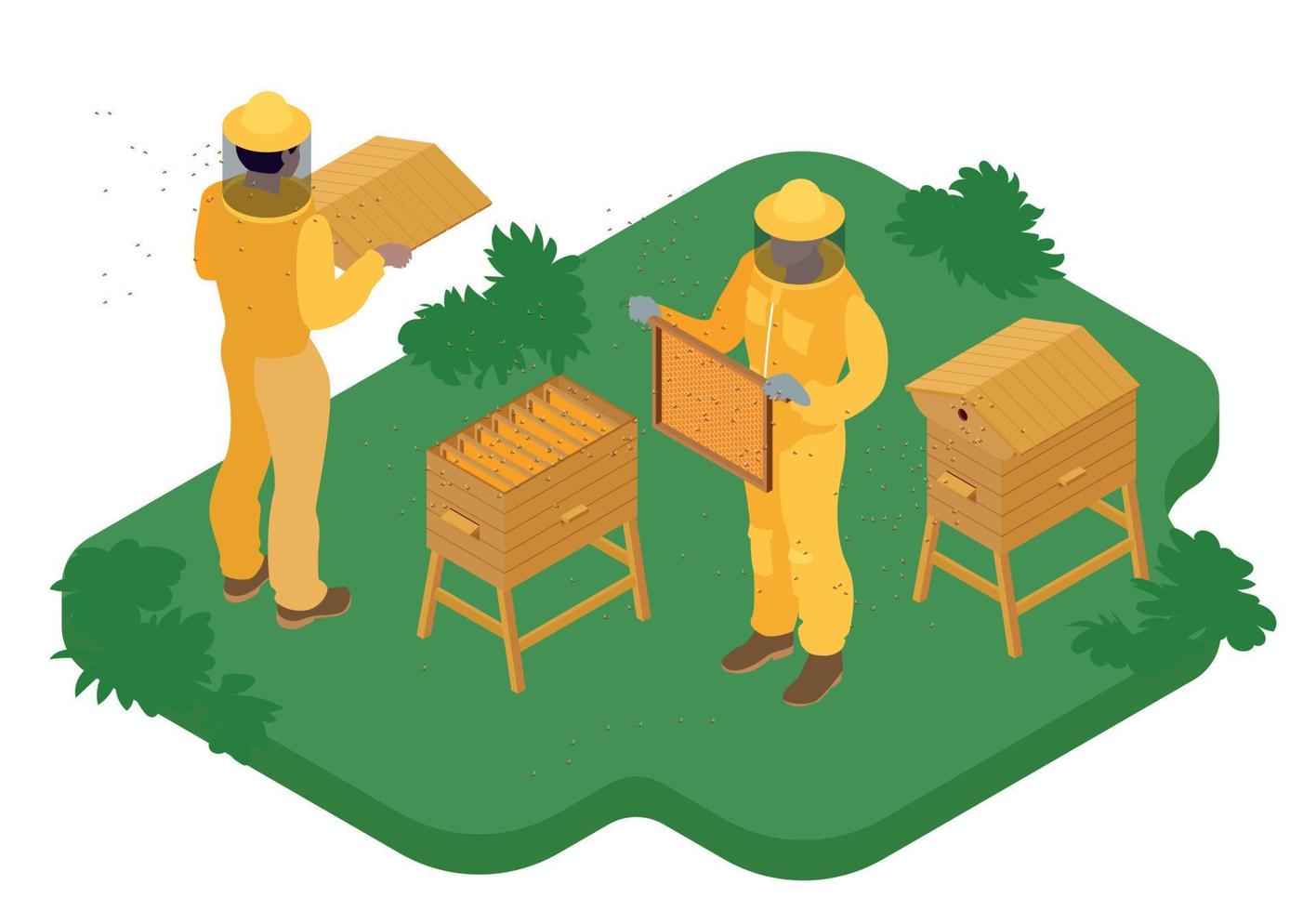 composition isométrique de l'apiculture vecteur