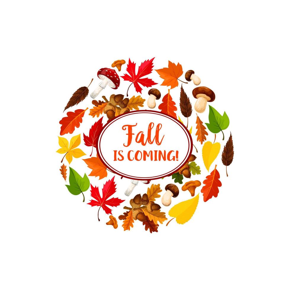 affiche saisonnière de vecteur automne ou chute des feuilles
