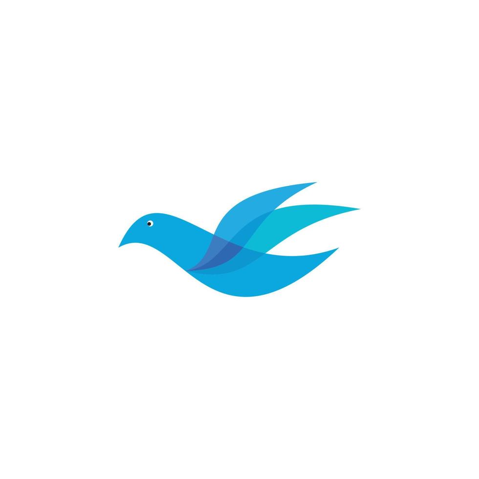 vecteur de logo oiseau