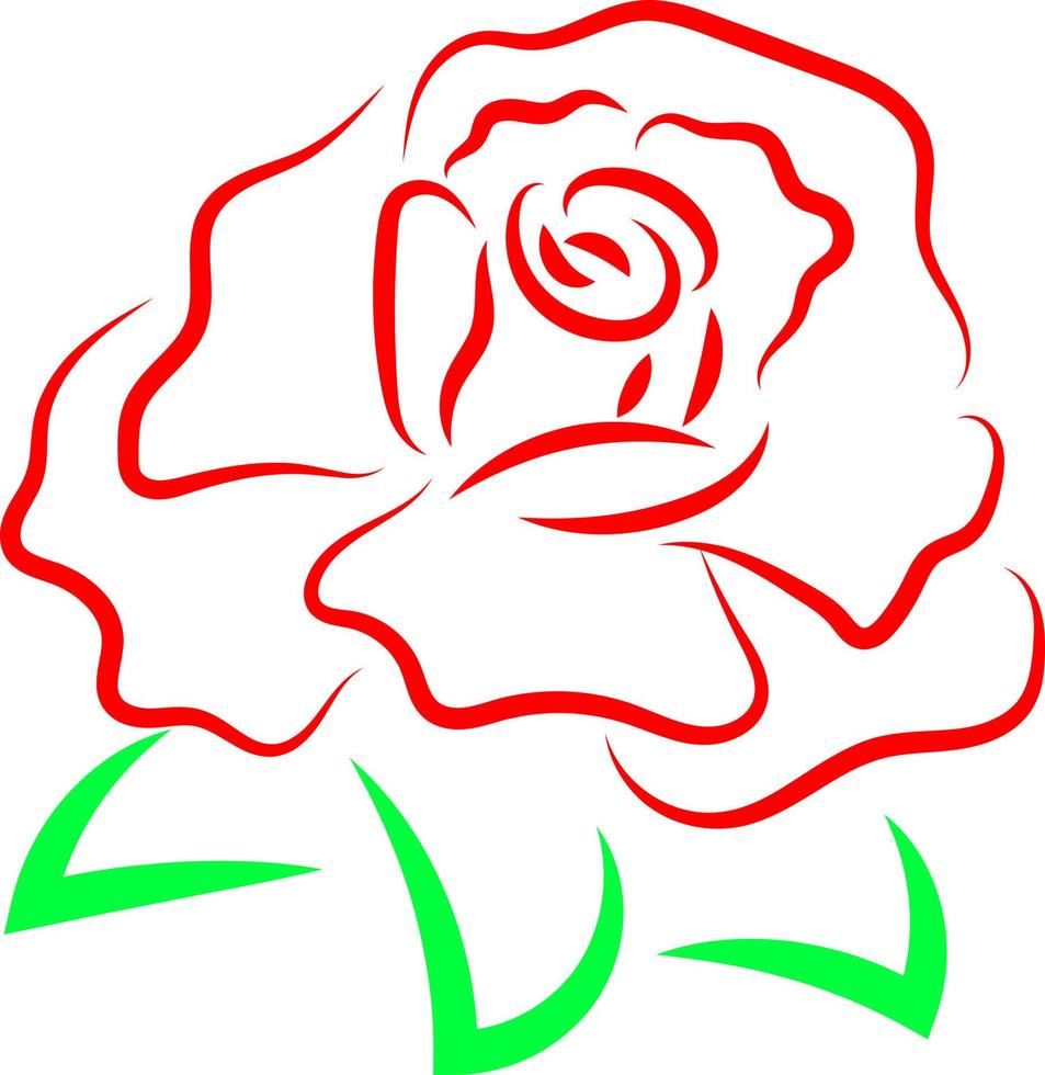 Rose rouge dessin, illustration, vecteur sur fond blanc