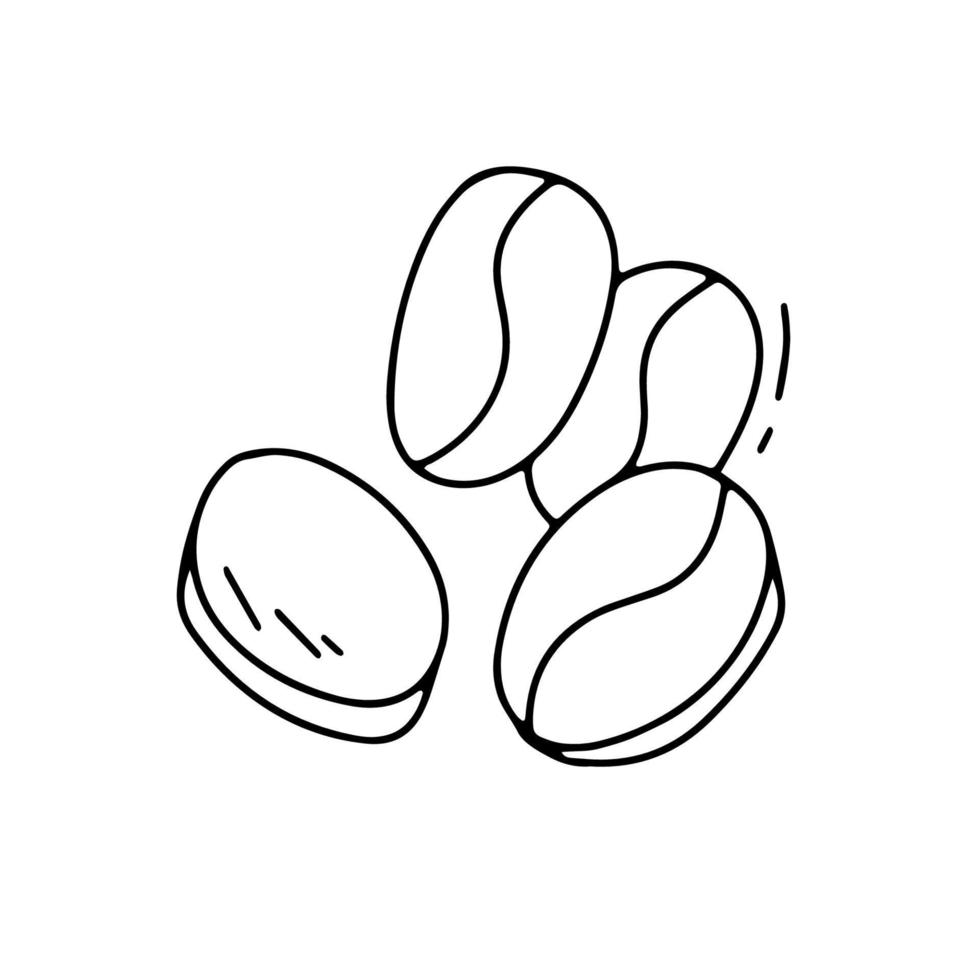 grains de café de griffonnage. illustration vectorielle isolée sur blanc vecteur