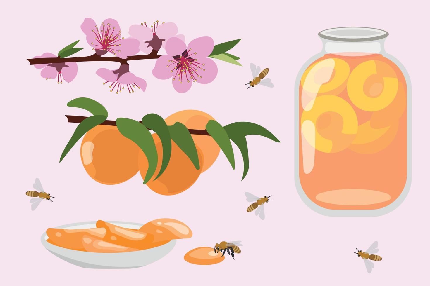 pêche et fruits en fleurs, confiture et compote vecteur