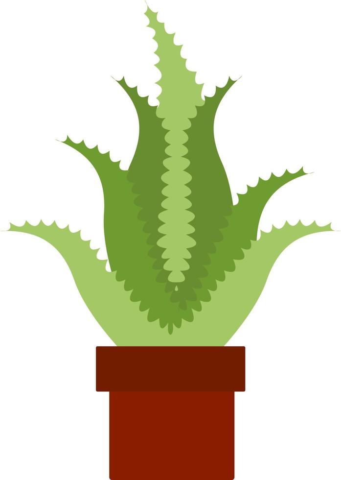 Aloe cactus en pot, illustration, vecteur sur fond blanc.