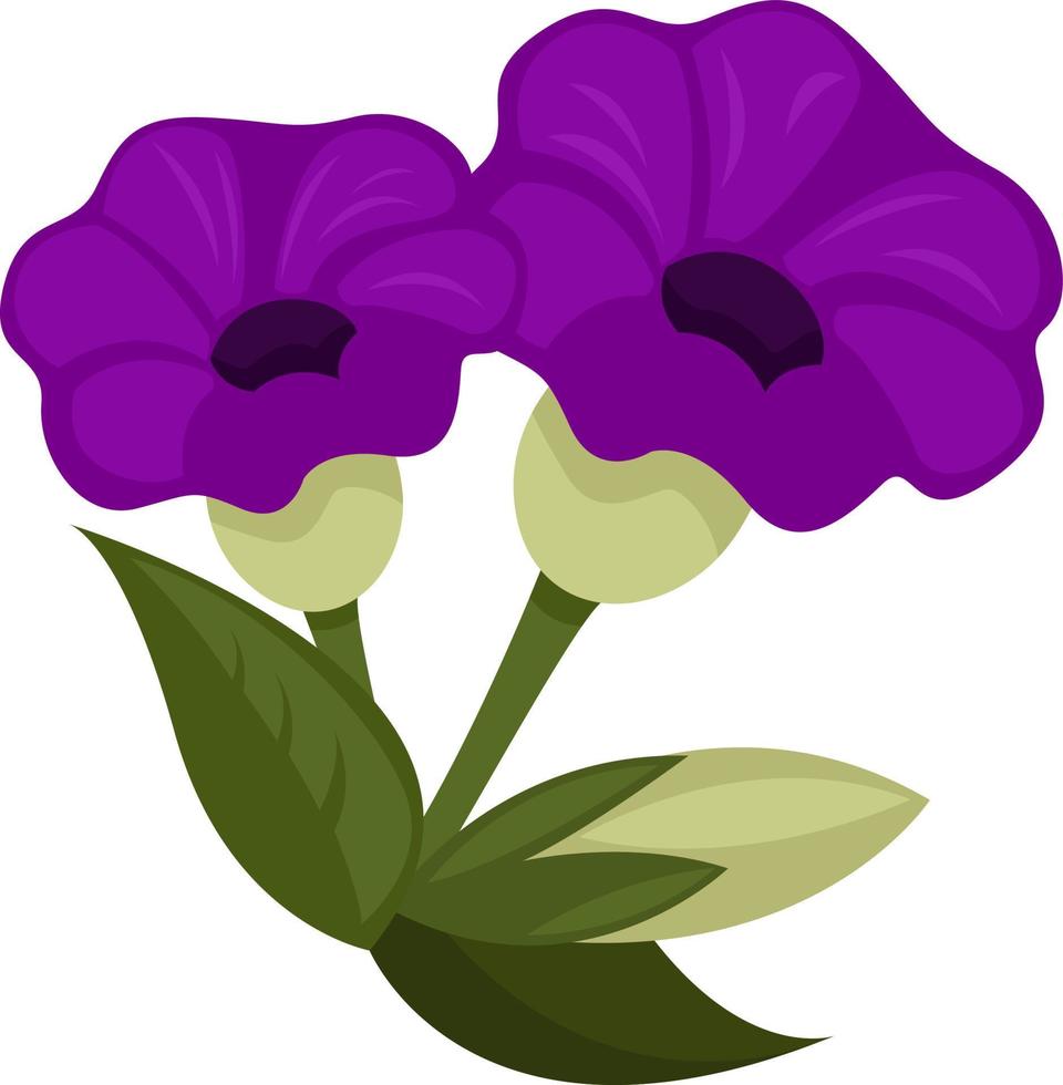 fleurs violettes, illustration, vecteur sur fond blanc.