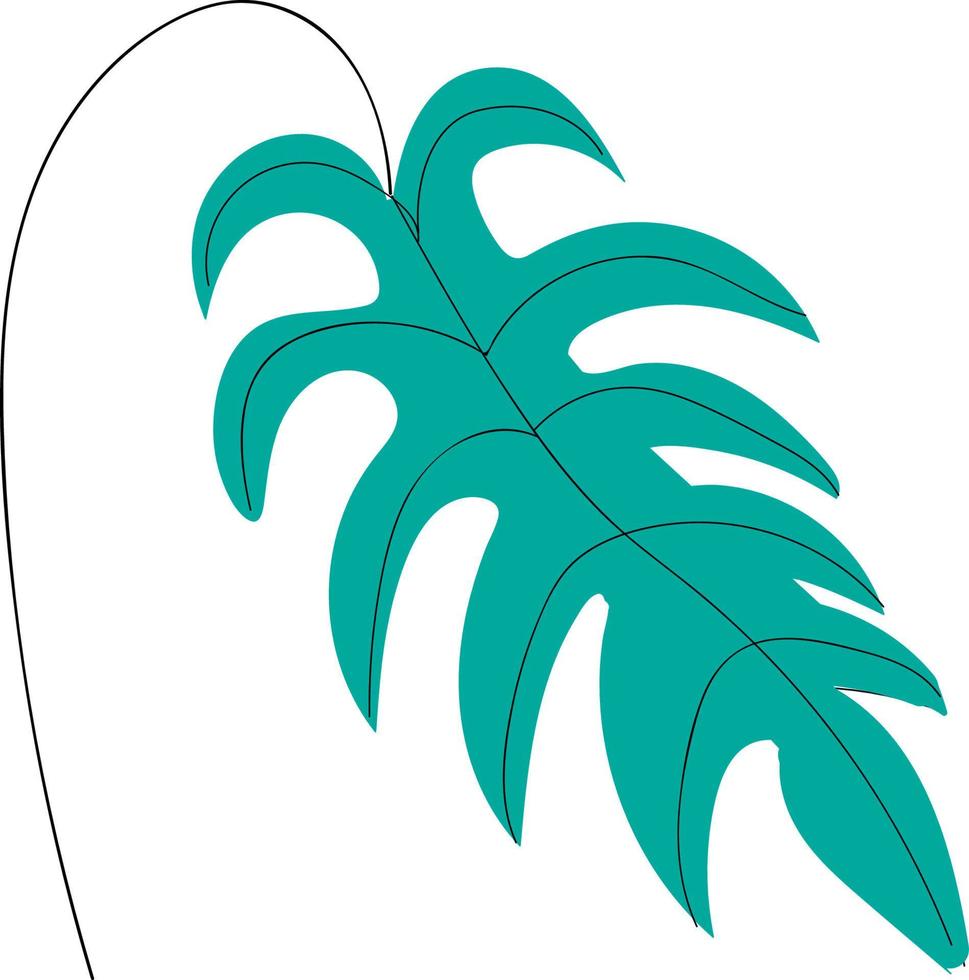 une grande feuille de palmier, un vecteur ou une illustration en couleur.