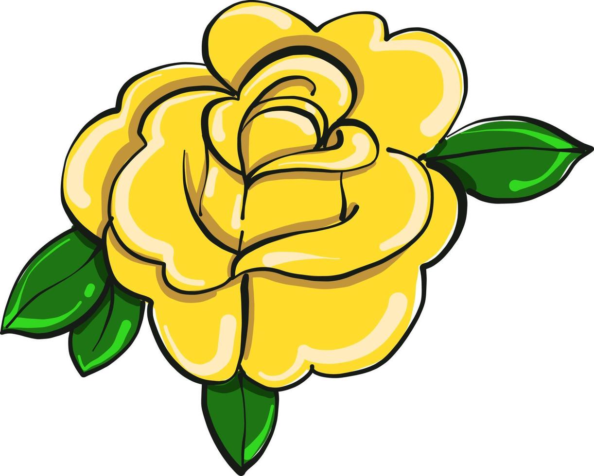 Rose jaune , illustration, vecteur sur fond blanc