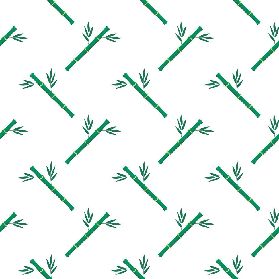 bambou vert, modèle sans couture sur fond blanc. vecteur