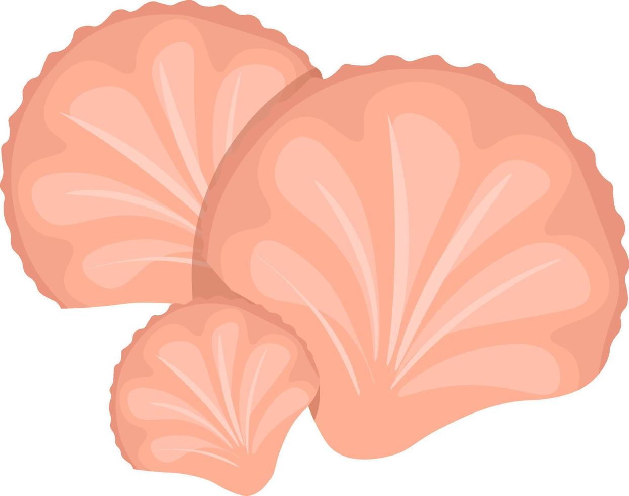 Coquille rose, illustration, vecteur sur fond blanc