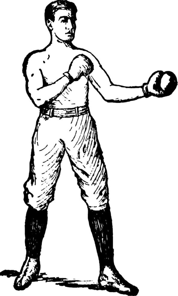 illustration vintage de boxe. vecteur