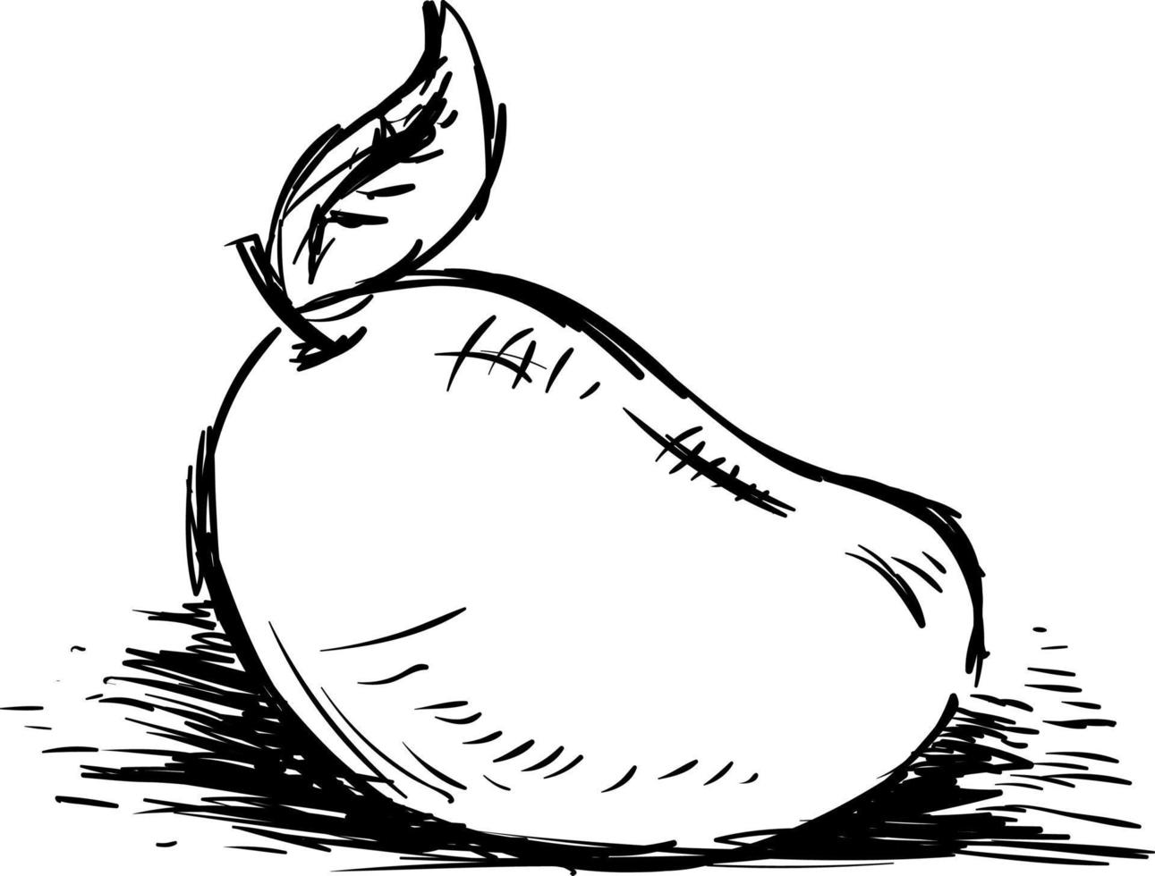 croquis de mangue, illustration, vecteur sur fond blanc.