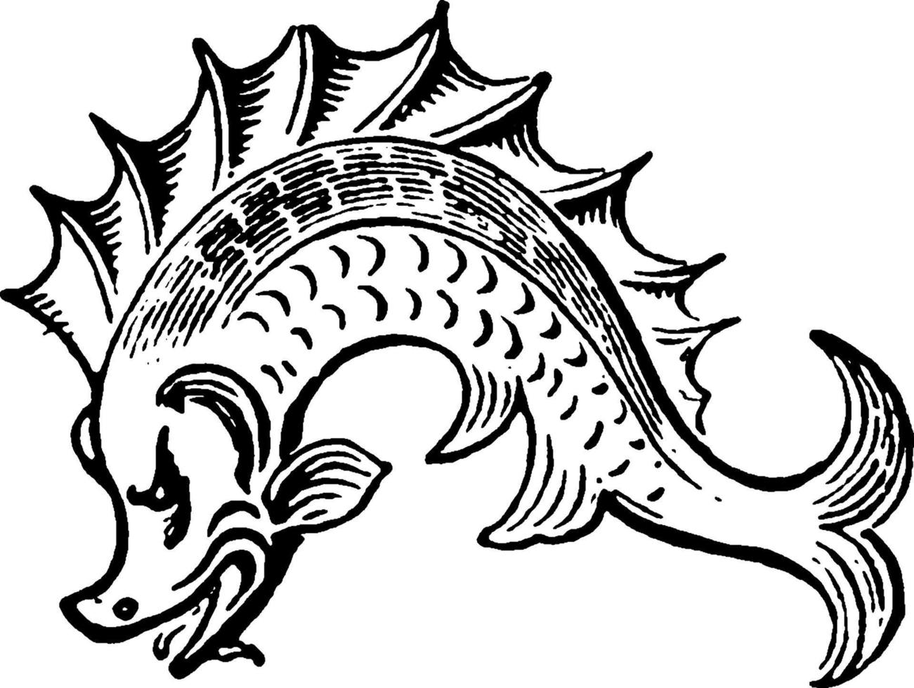 illustration vintage de dauphin. vecteur