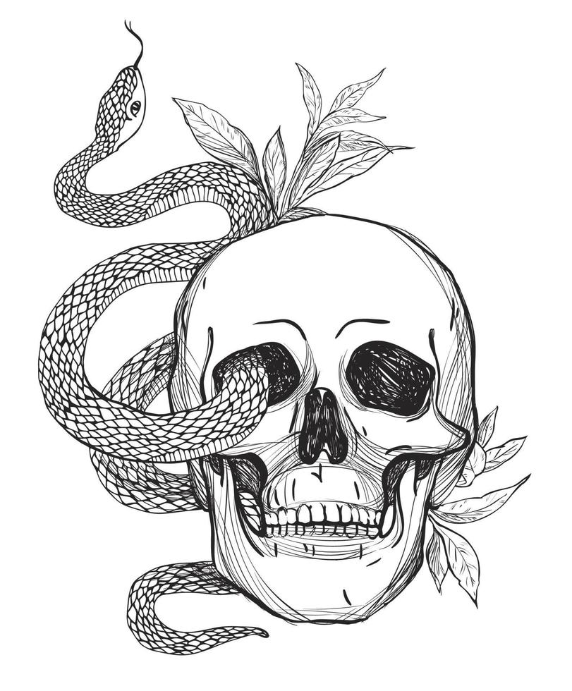 crâne et serpent. illustration vectorielle vintage vecteur