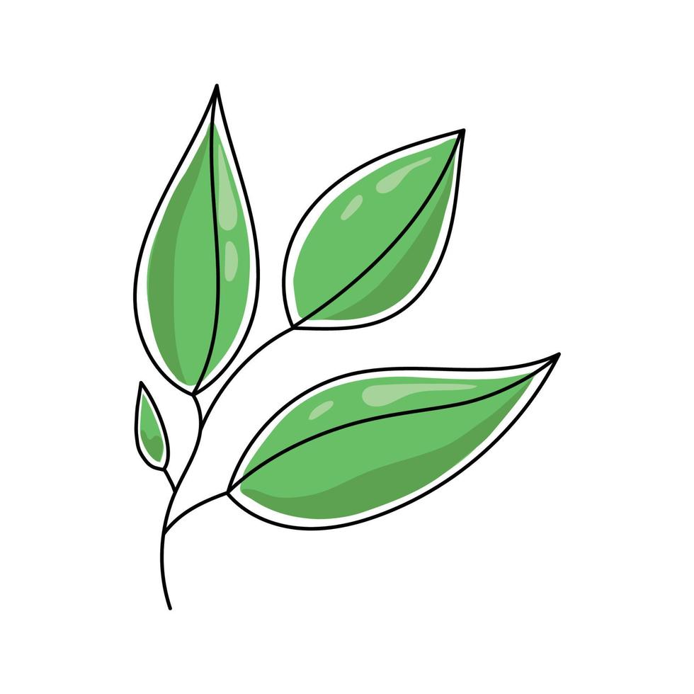 illustration vectorielle d'une feuille de thé. vecteur