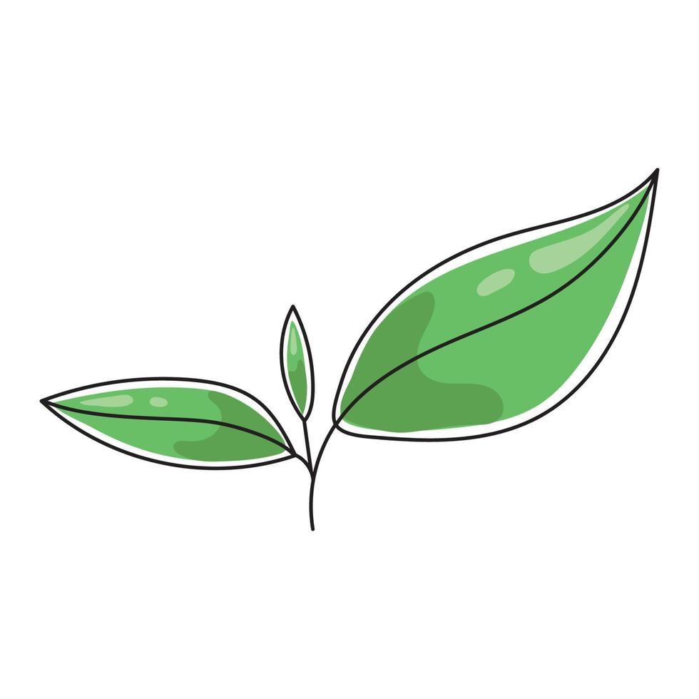 illustration vectorielle d'une feuille de thé. vecteur