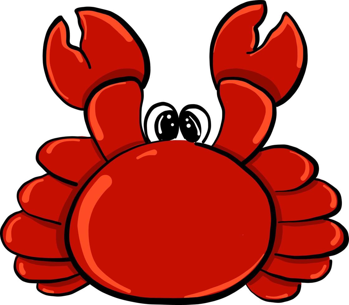 crabe rouge, illustration, vecteur sur fond blanc