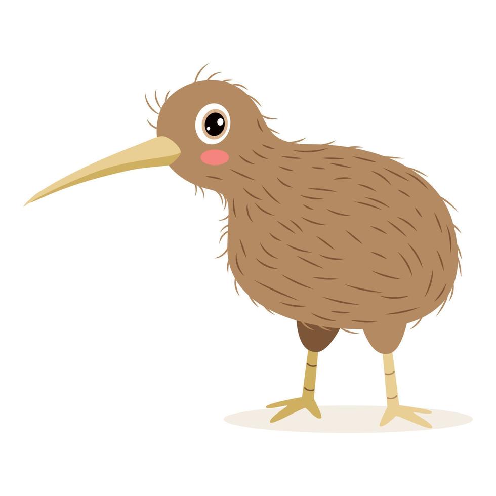 dessin animé d'un oiseau kiwi vecteur