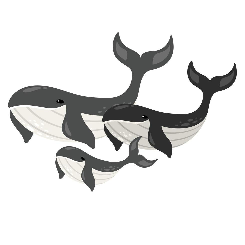 dessin animé de baleines mignonnes vecteur