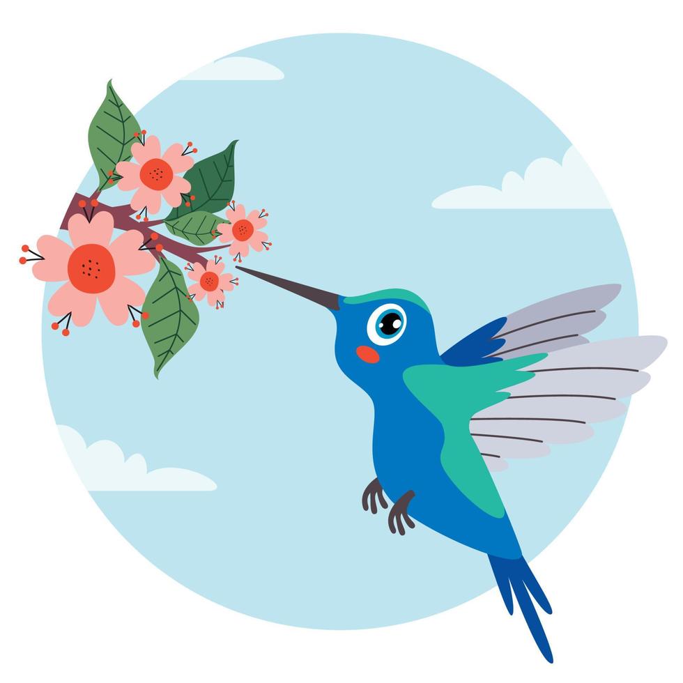 dessin animé d'un colibri vecteur