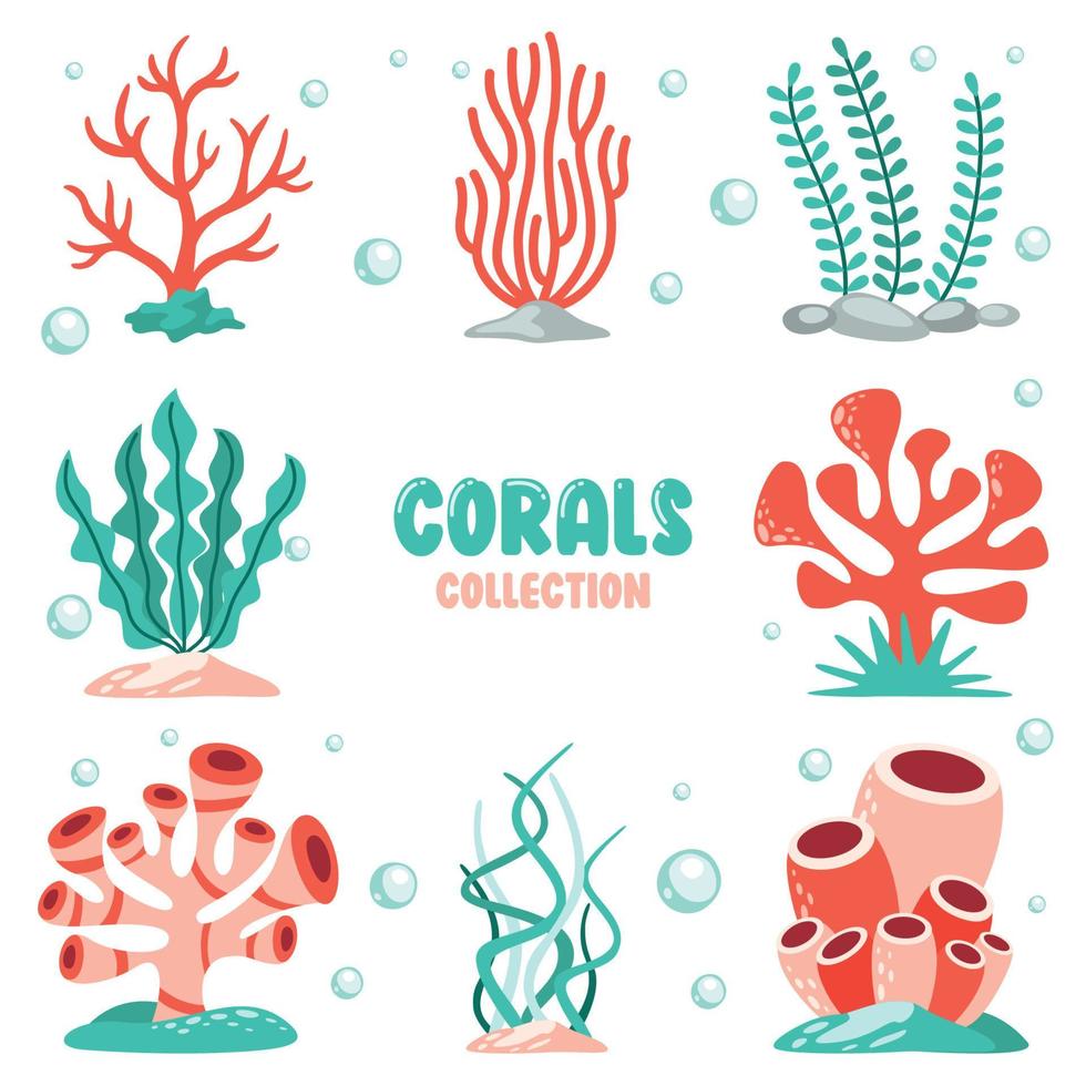 dessin plat de coraux colorés vecteur