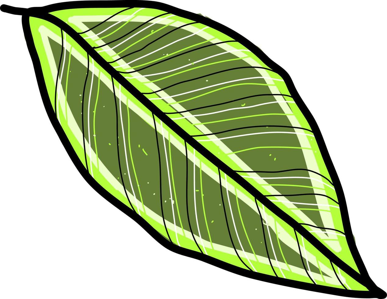 longue feuille verte, illustration, vecteur sur fond blanc.