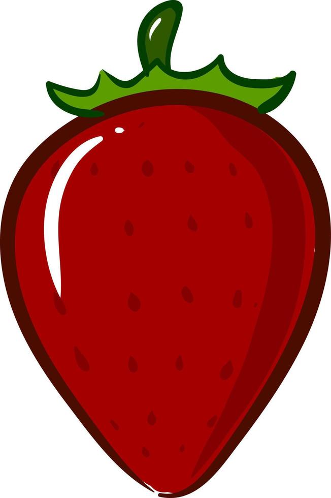 fraise, illustration, vecteur sur fond blanc.