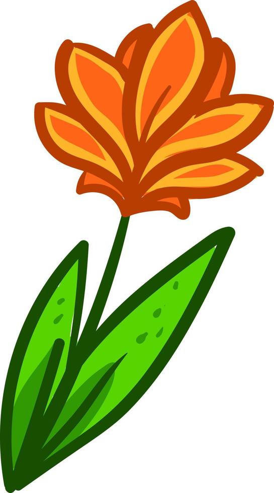 fleur orange , illustration, vecteur sur fond blanc
