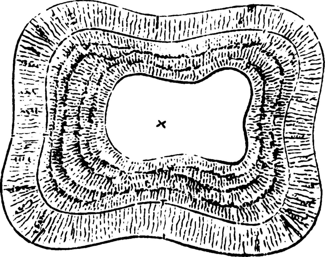 dent humaine, illustration vintage. vecteur