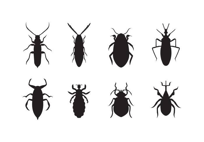 Free Bug Vector