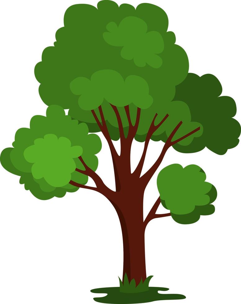 Grand arbre vert, illustration, vecteur sur fond blanc