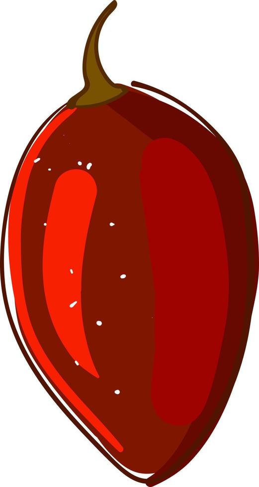 tamarillo rouge, illustration, vecteur sur fond blanc.