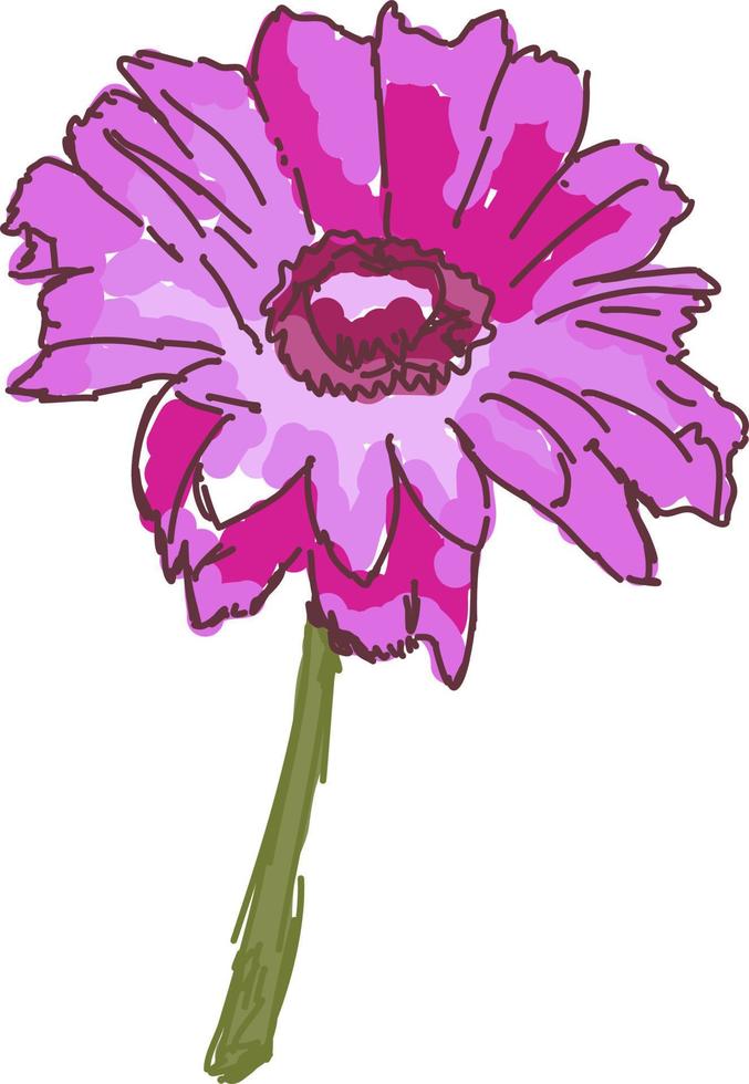 fleur rose, illustration, vecteur sur fond blanc.