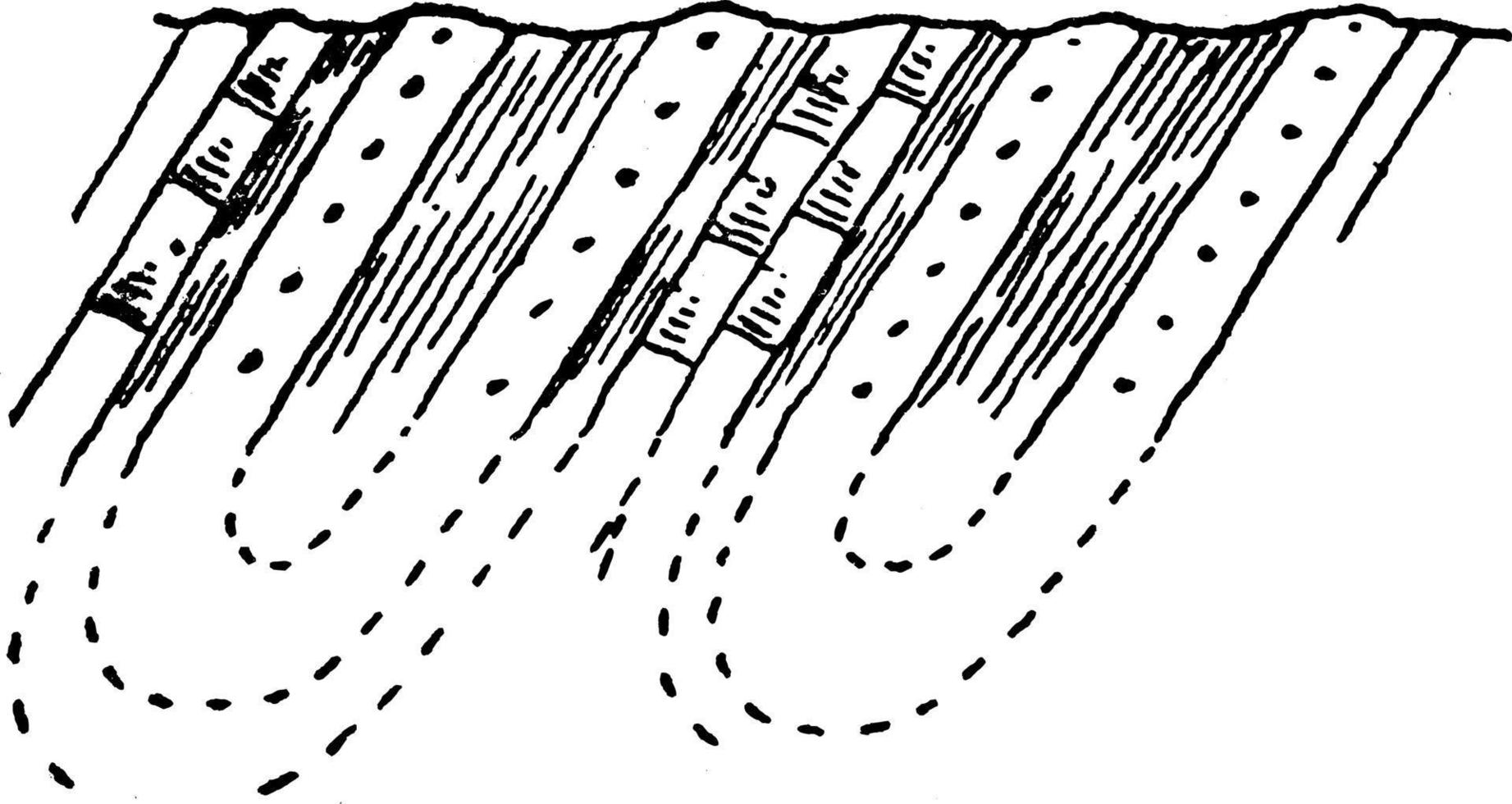 pli isoclinal, illustration vintage. vecteur