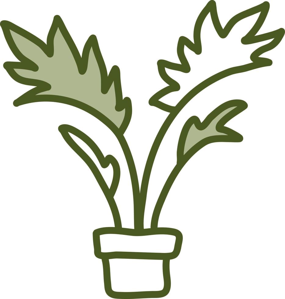 Lady palm en pot, illustration, vecteur sur fond blanc.