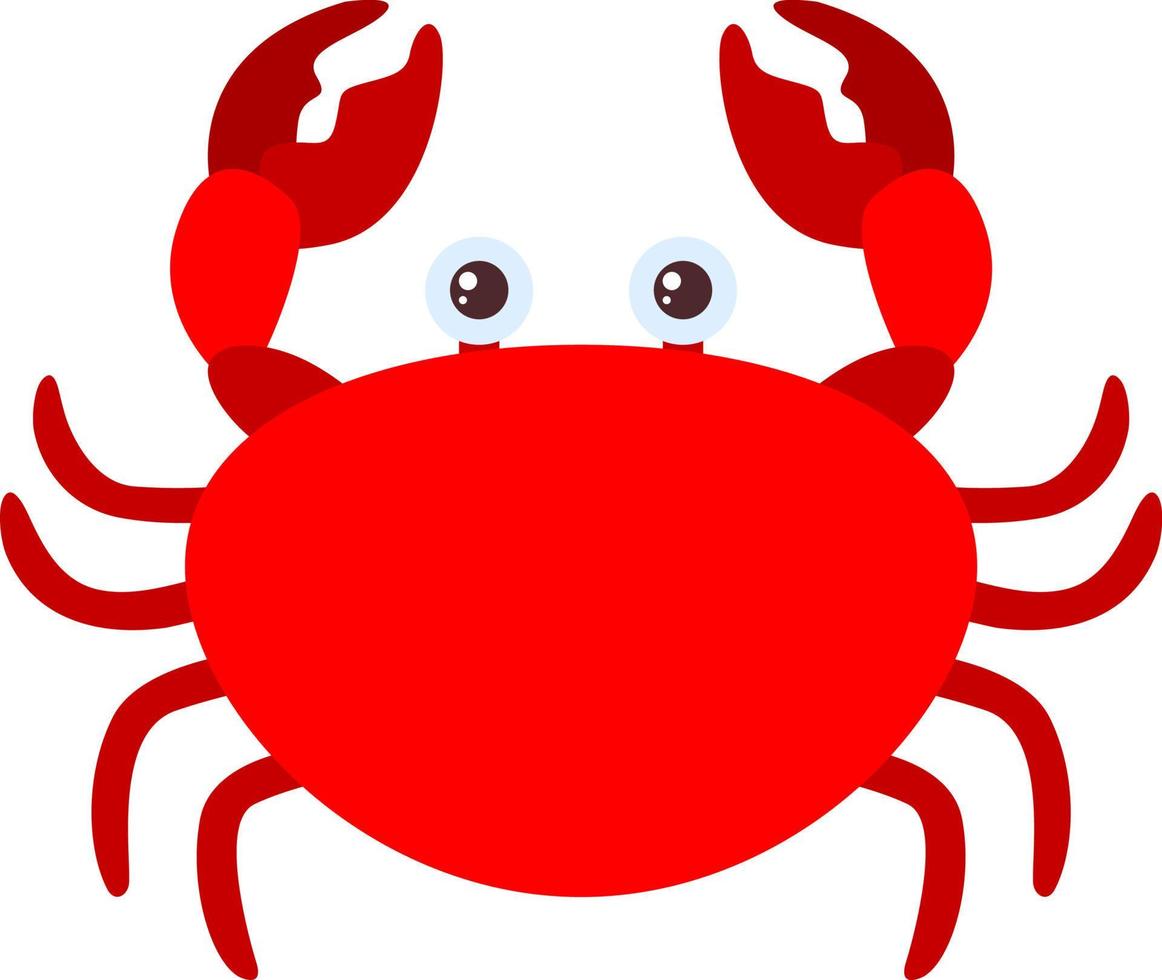 crabe rouge, illustration, vecteur sur fond blanc.