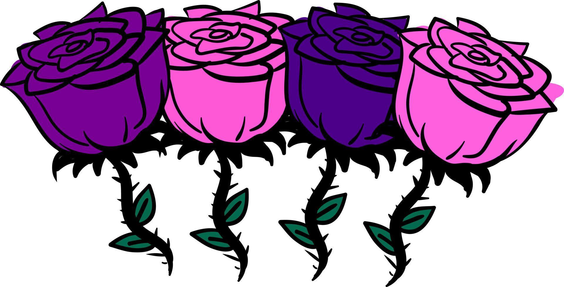 roses roses et violettes, illustration, vecteur sur fond blanc.