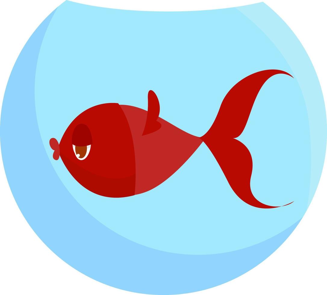 poisson rouge, illustration, vecteur sur fond blanc.