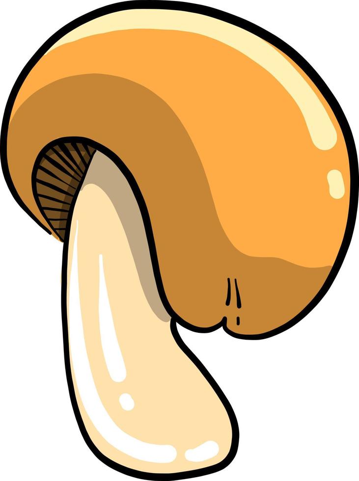 champignon forestier, illustration, vecteur sur fond blanc