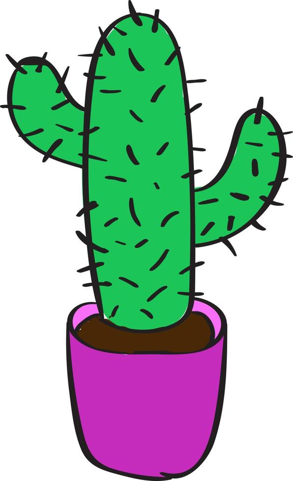 cactus en pot, illustration, vecteur sur fond blanc.