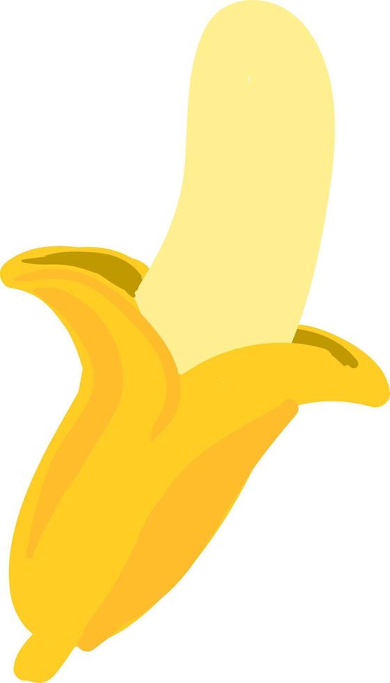 banane pelée, illustration, vecteur sur fond blanc.