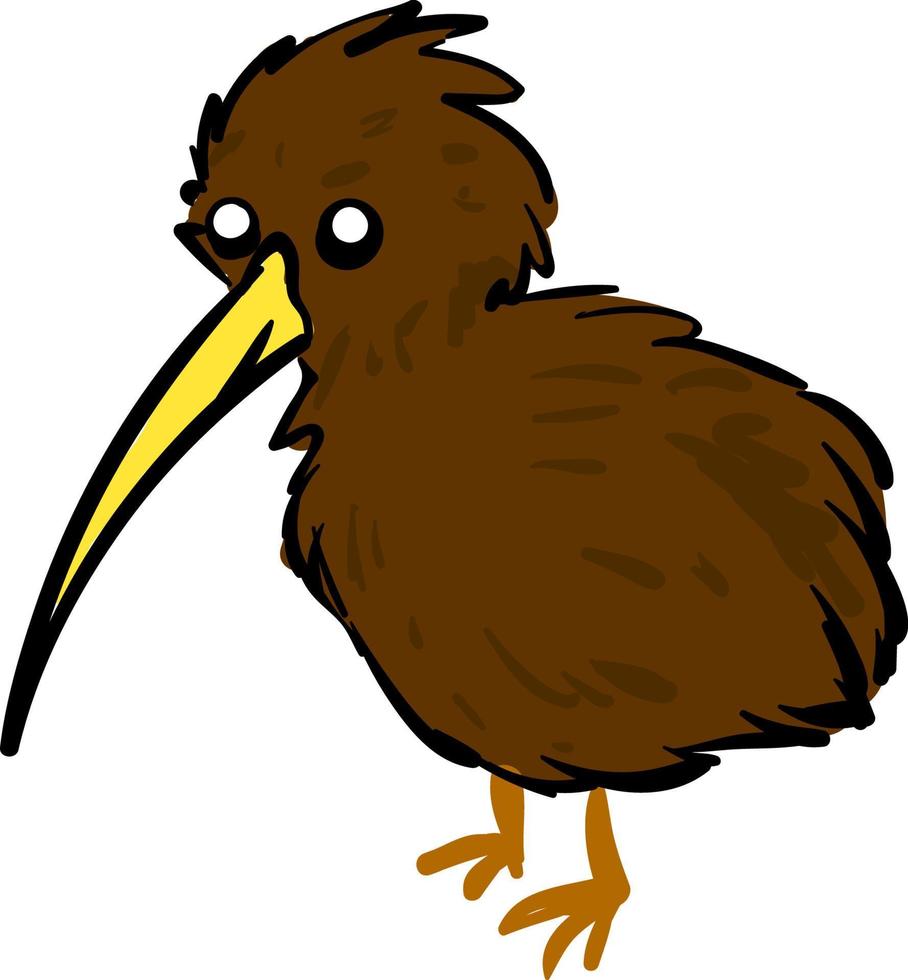 oiseau kiwi brun, illustration, vecteur sur fond blanc.