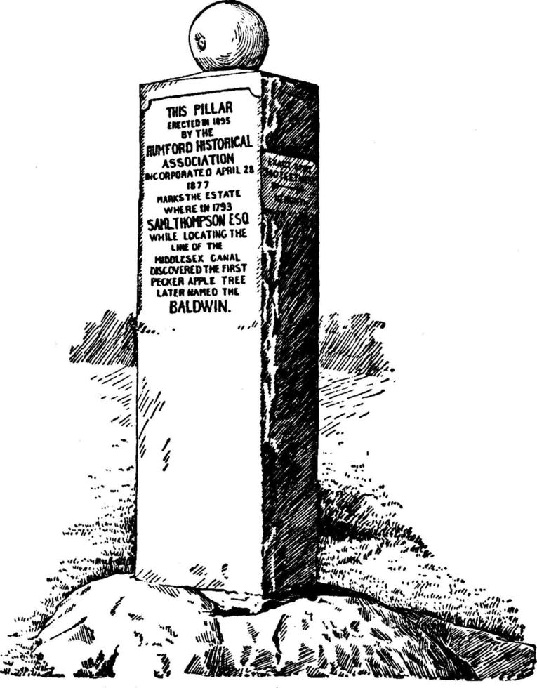 monument à la pomme baldwin, illustration vintage. vecteur