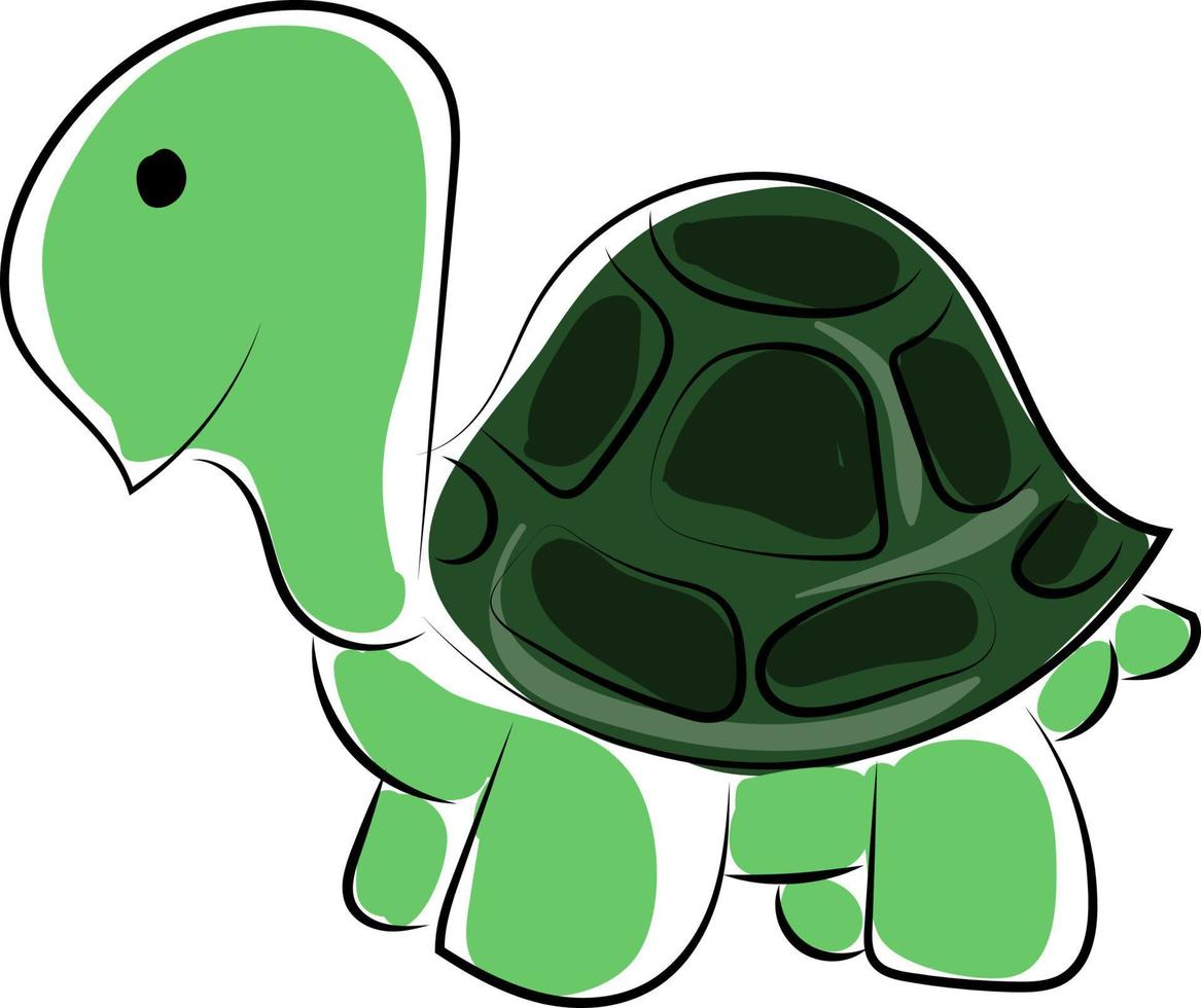 Petite tortue verte, illustration, vecteur sur fond blanc.