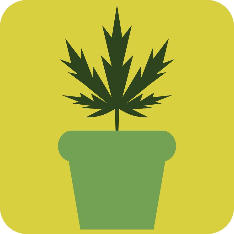 plante de cannabis en pot, illustration, vecteur sur fond blanc.