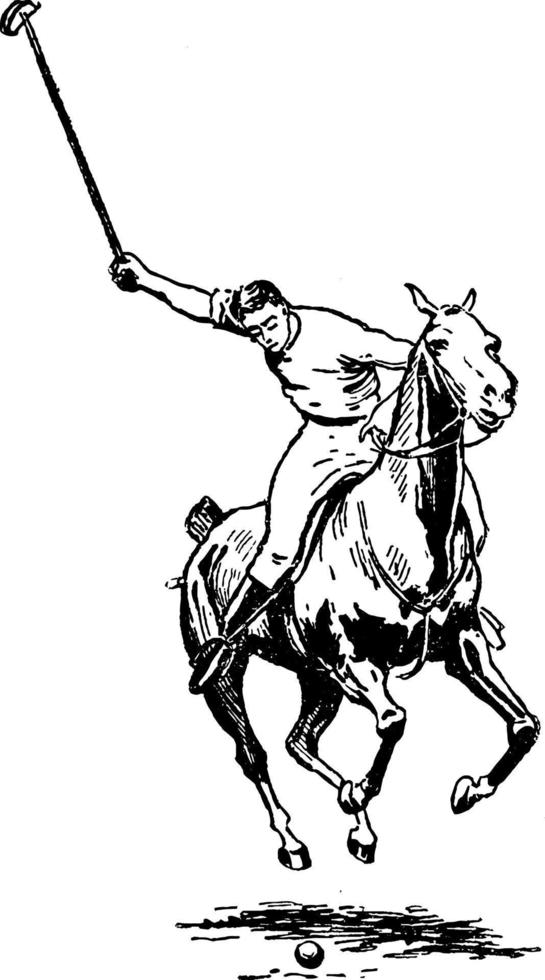 illustration vintage de polo. vecteur