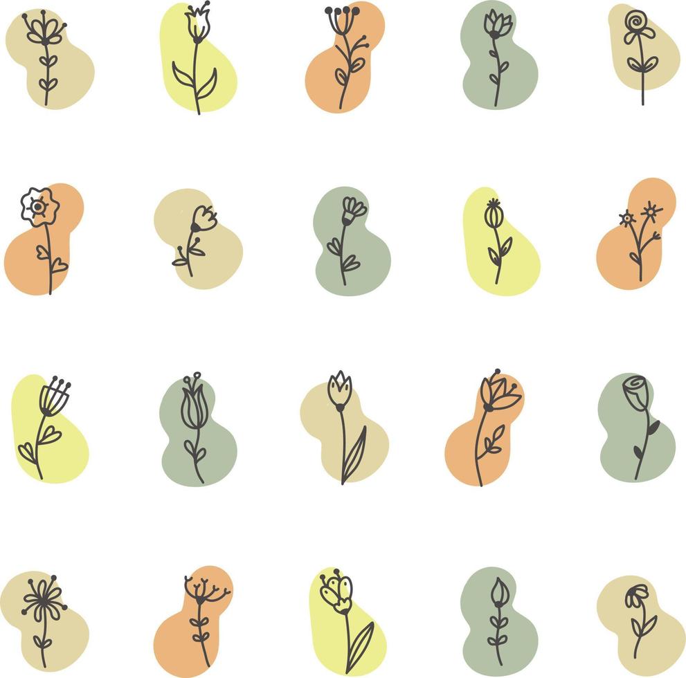 fleurs sauvages, illustration, vecteur sur fond blanc.