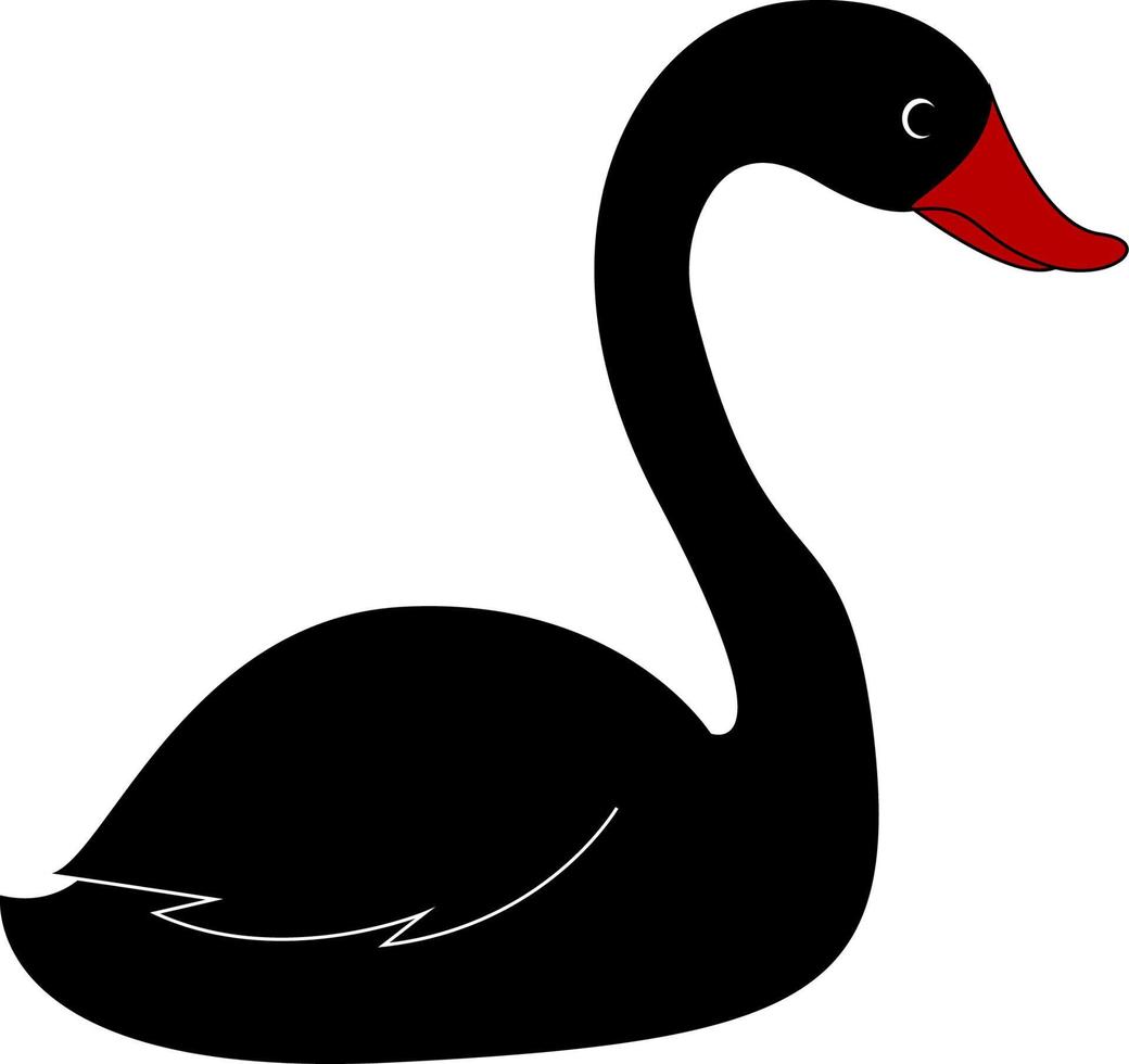 beau cygne noir, illustration, vecteur sur fond blanc.