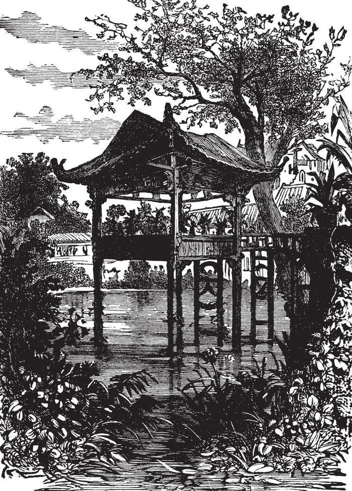 jardin suspendu, illustration vintage. vecteur