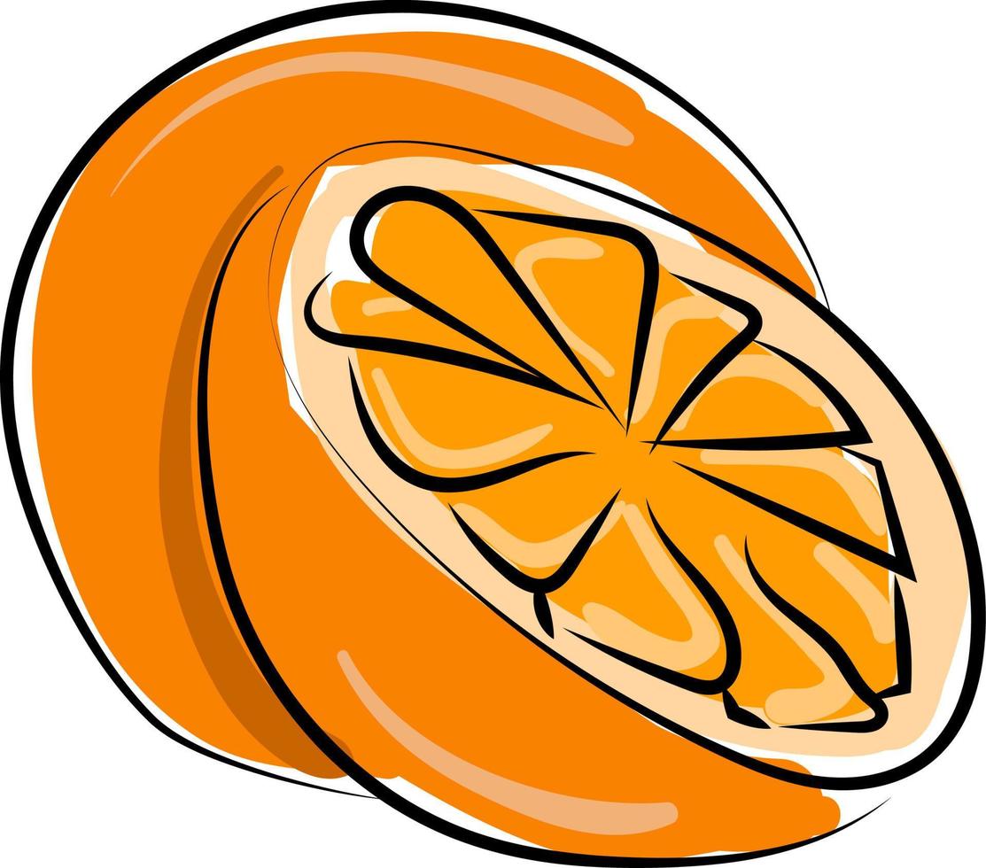 orange, illustration, vecteur sur fond blanc.