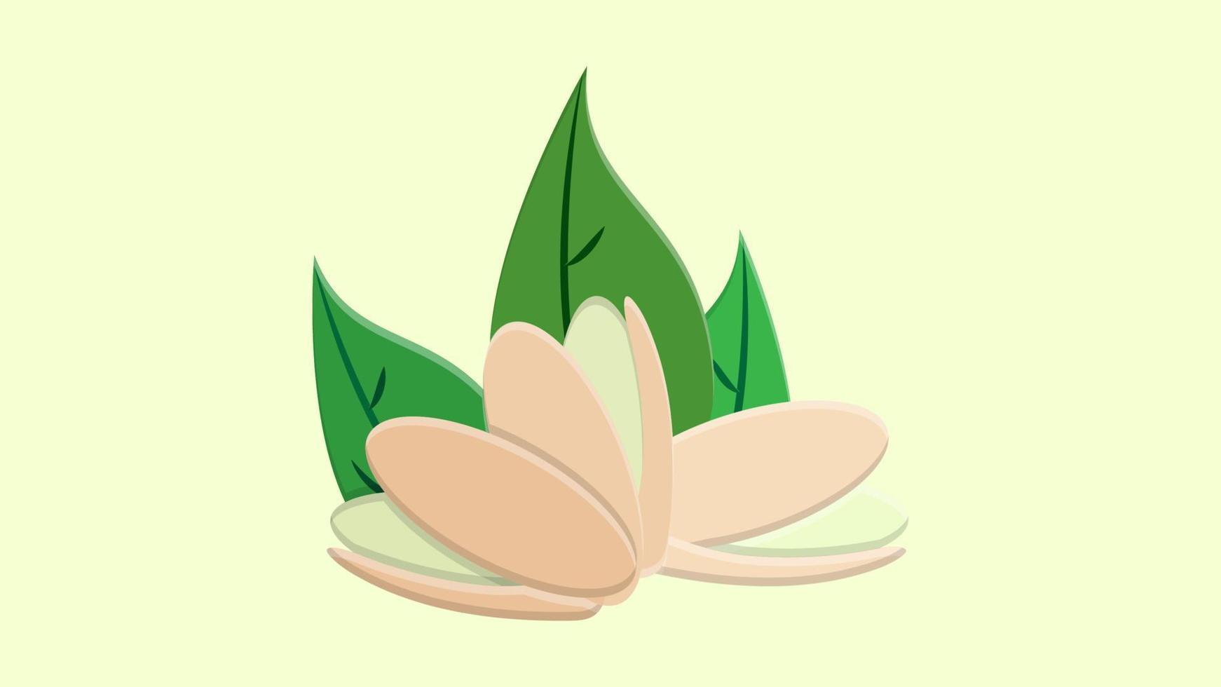 pistaches avec feuilles. illustration vectorielle noyaux de pistache réalistes vecteur