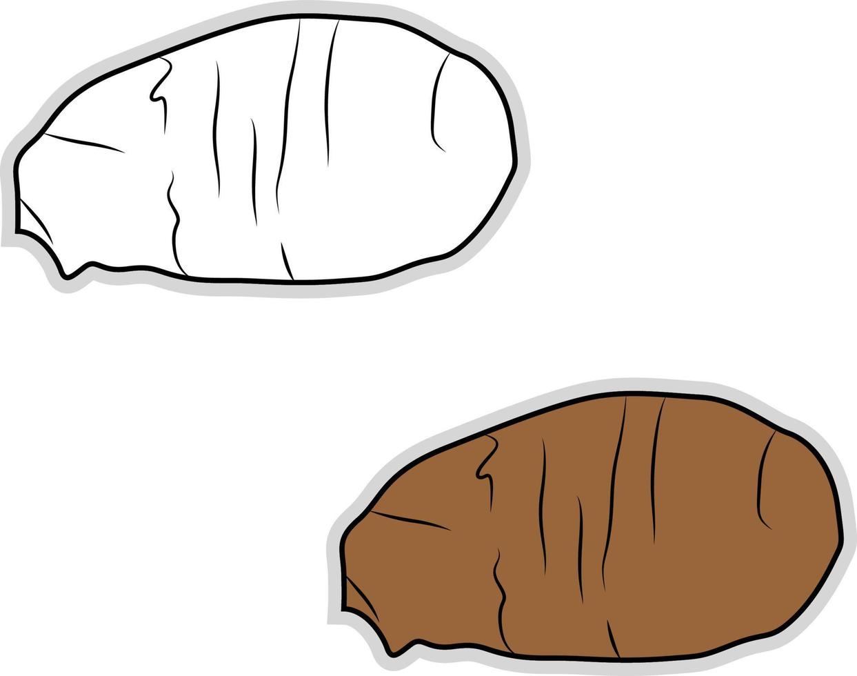 Eddoe brun, illustration, vecteur sur fond blanc.